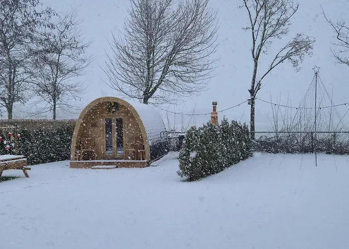 Cosy Bed and Breakfast